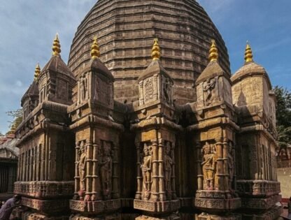 2bf3f0c2-6ae9-43bc-9d76-b12e708d0695