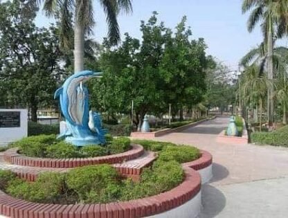 fb-img-1551754683426